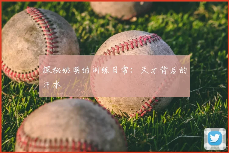 探秘姚明的训练日常：天才背后的汗水